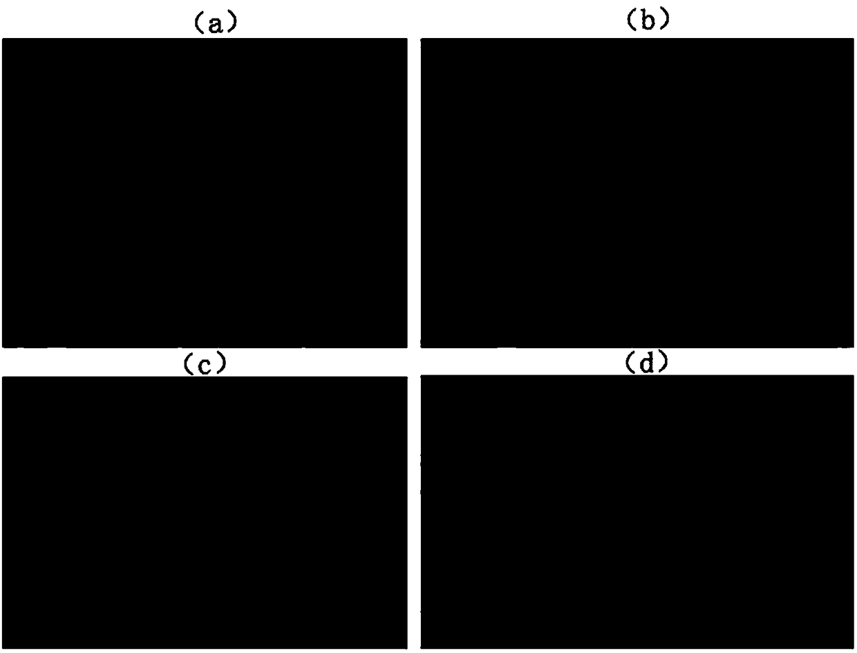 Application of atractylenolide I in preparation of anti-hepatocarcinoma drugs