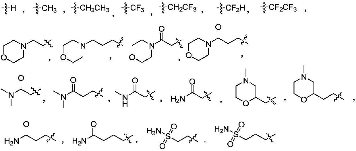 Aminoquinazolinone and aminoisoquinolinone derivatives and application thereof