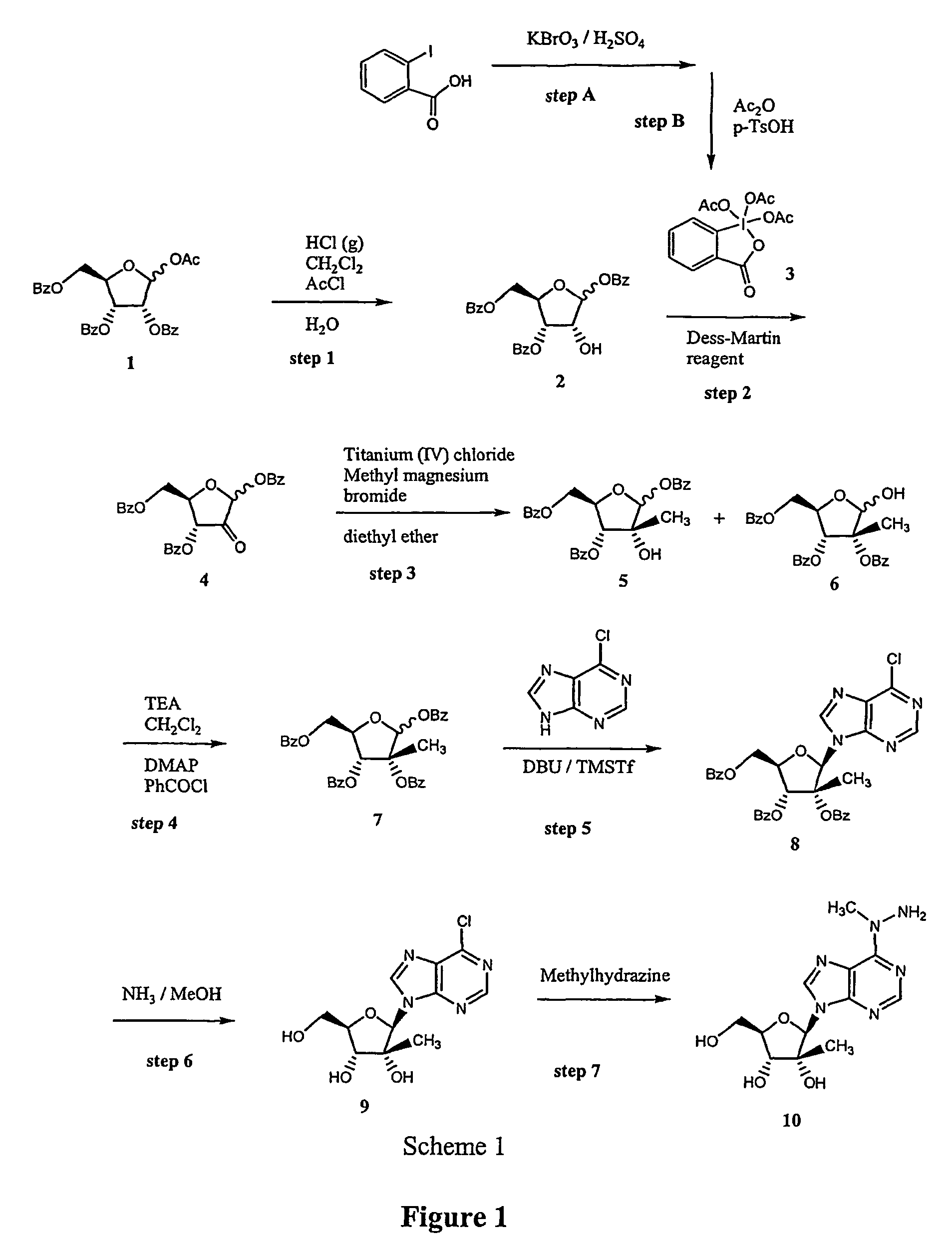 Synthesis and use of 2′-substituted-N6 -modified nucleosides