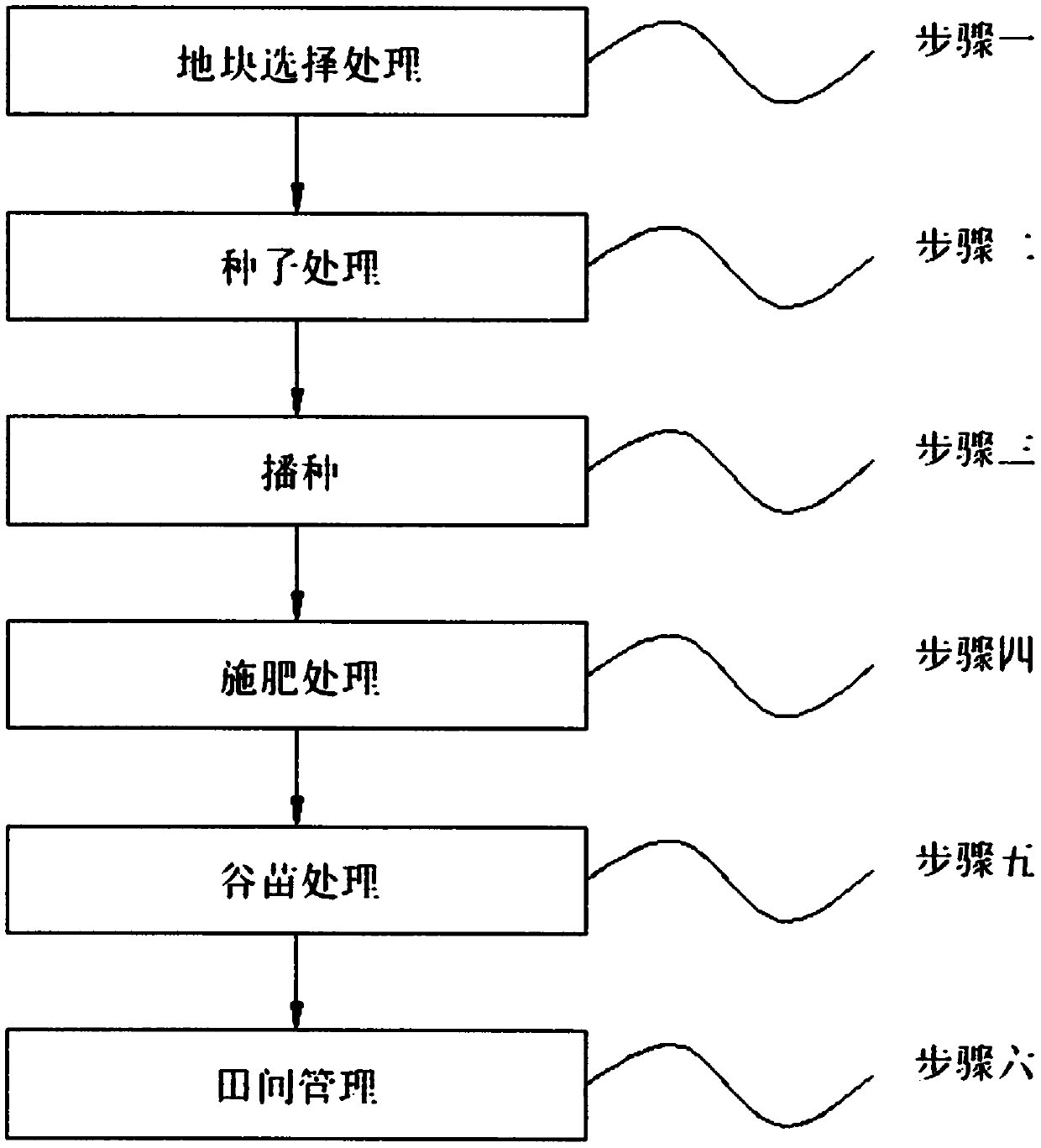 High-yield and high-efficiency cultivation method for millet sowed among wheat stubble in summer