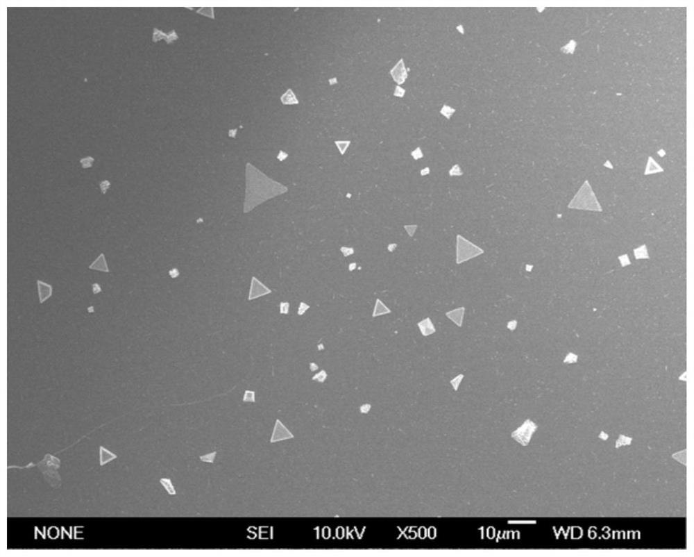 A kind of inorganic non-lead cesium bismuth halide cs  <sub>3</sub> bi  <sub>2</sub> x  <sub>9</sub> Perovskite microdisk and its synthesis method