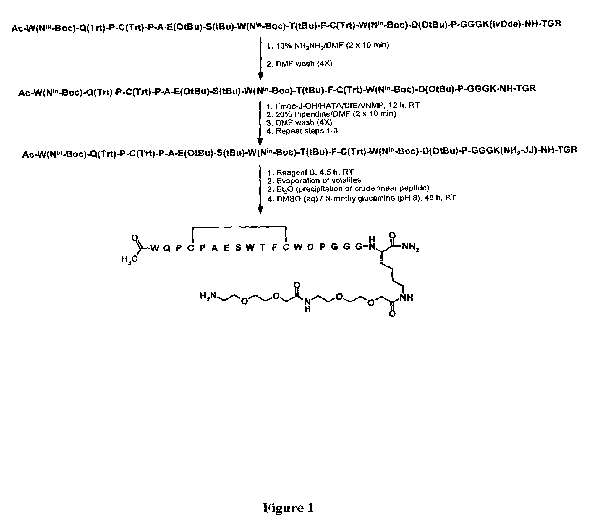 Fibrin-binding peptides and conjugates thereof