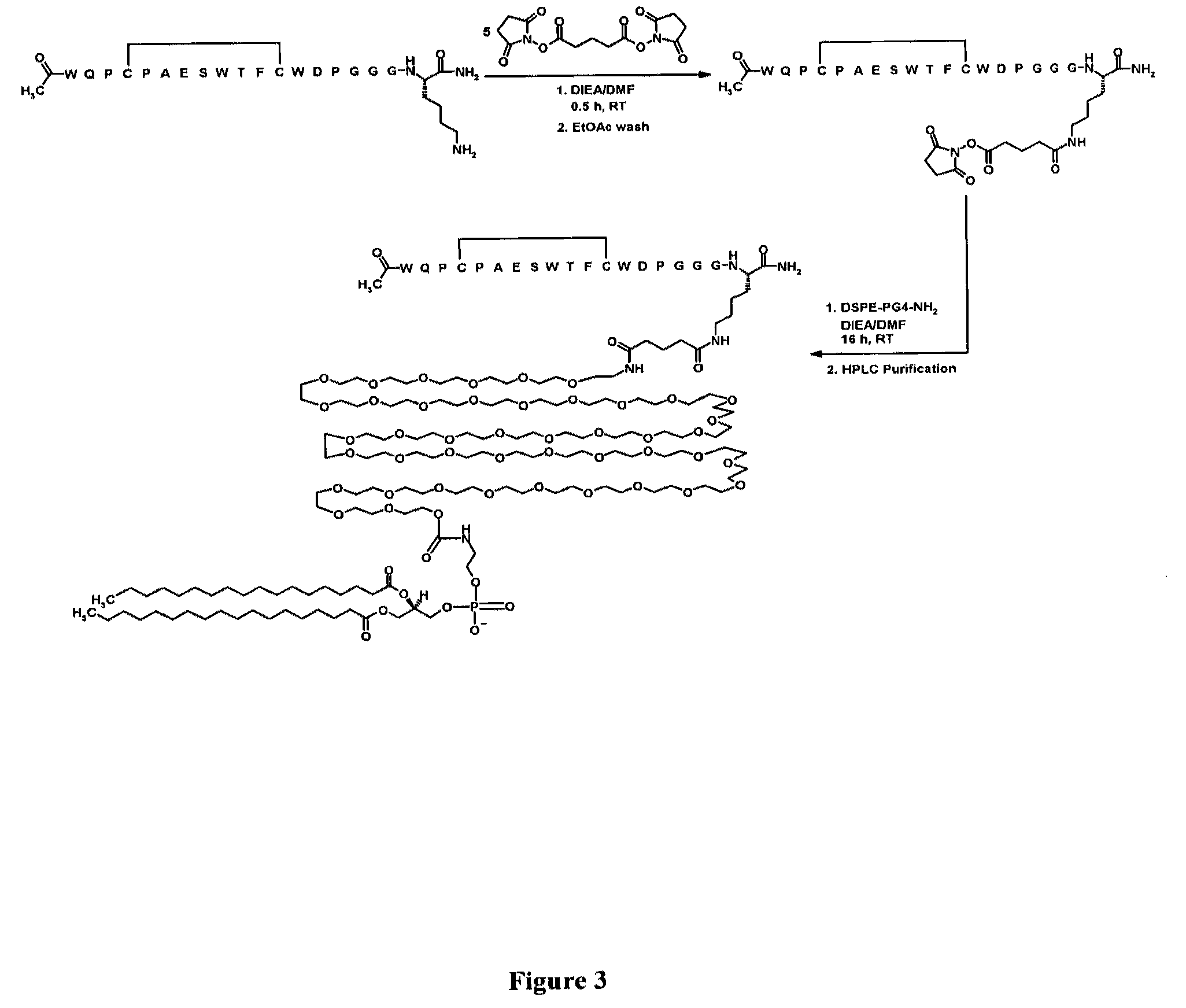 Fibrin-binding peptides and conjugates thereof