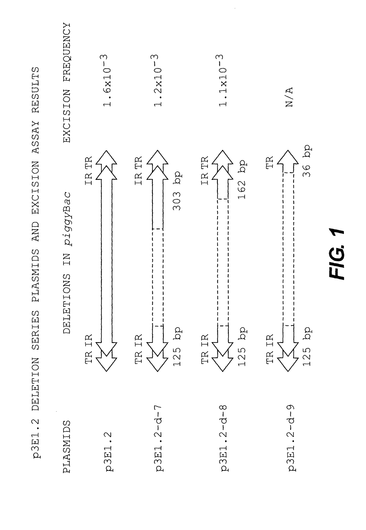 Methods and compositions for transposition using minimal segments of the eukaryotic transformation vector piggyBac