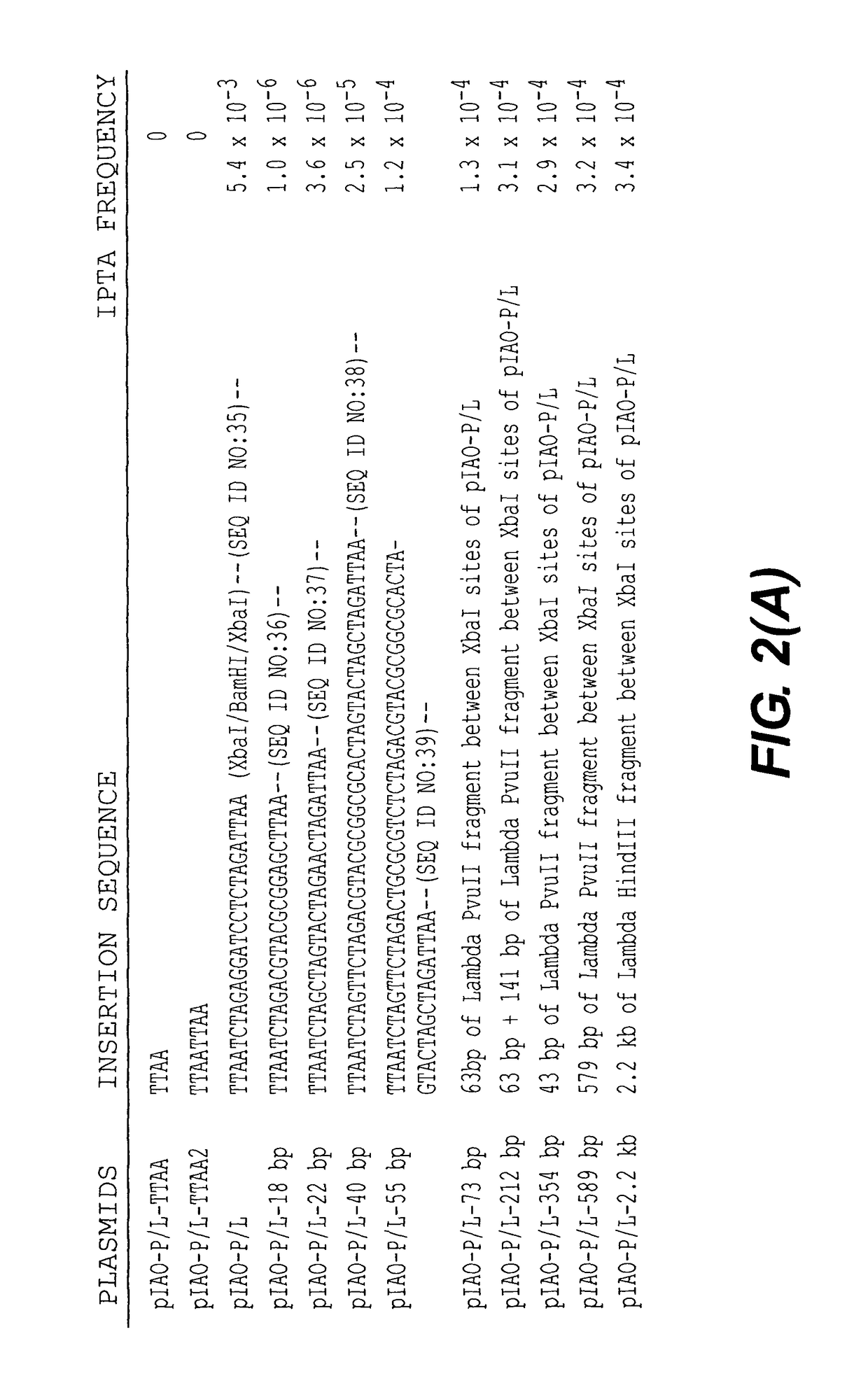 Methods and compositions for transposition using minimal segments of the eukaryotic transformation vector piggyBac