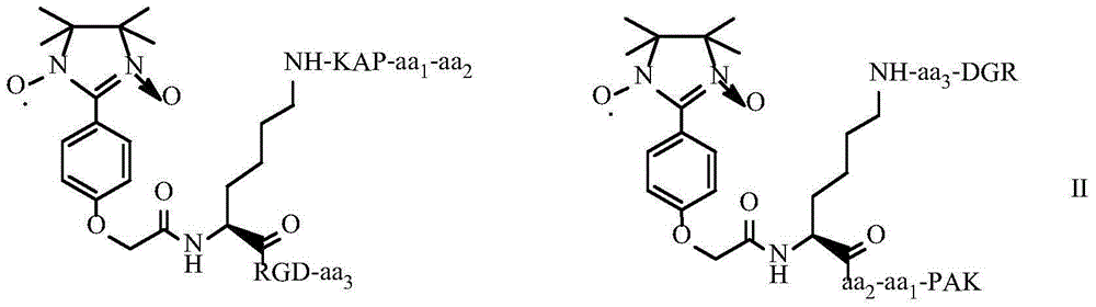 Tetrahydroisoquinoline-3-formyl-K (GRPAK) RGDV and synthesis, activity and application thereof