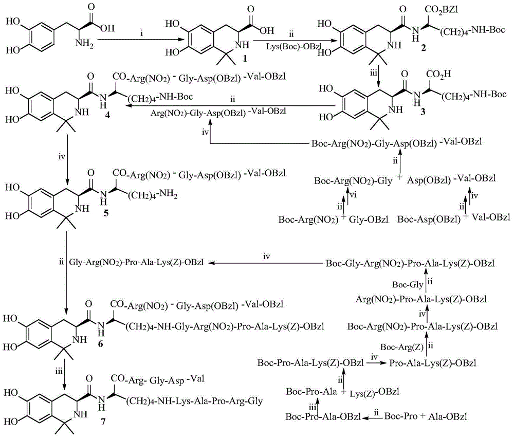 Tetrahydroisoquinoline-3-formyl-K (GRPAK) RGDV and synthesis, activity and application thereof