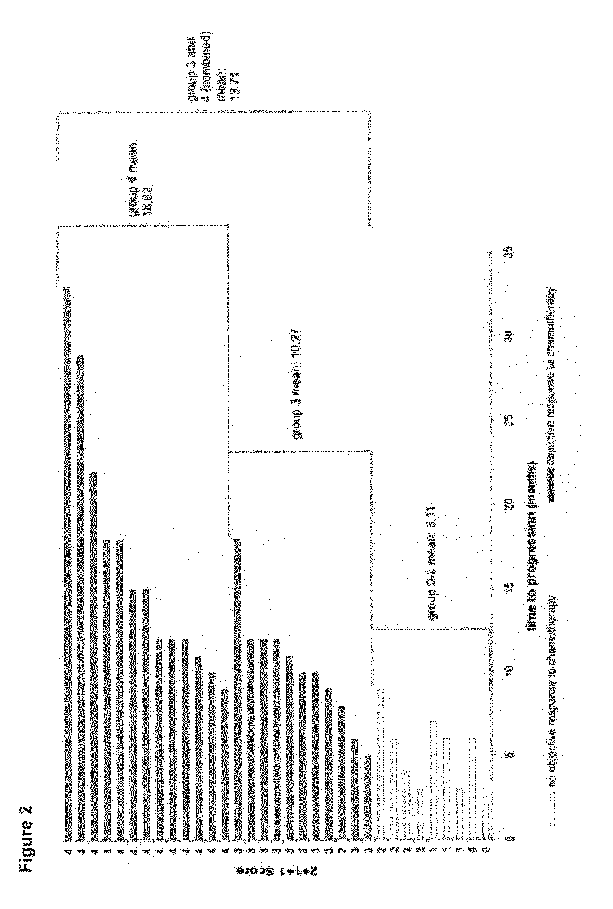 Means and methods for the prediction of treatment response of a cancer patient
