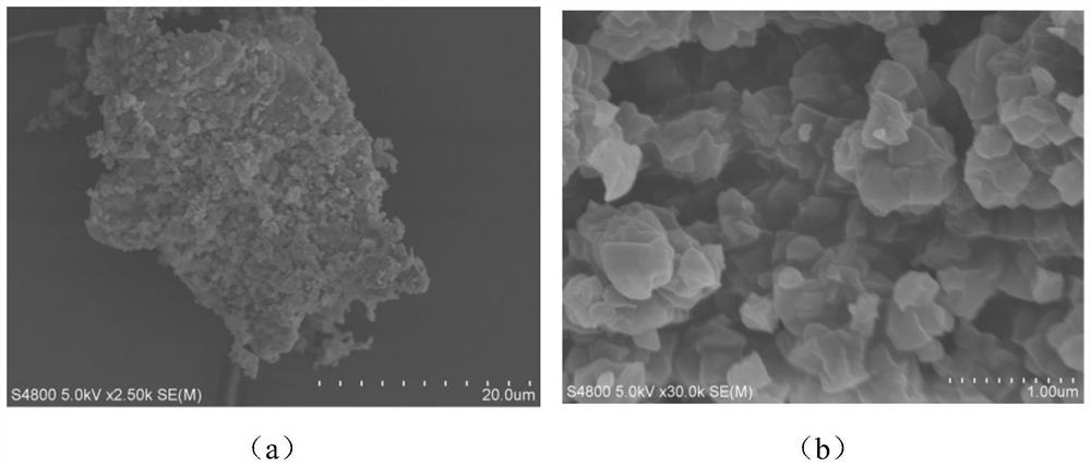 Zinc phytate@zeolite imidazate skeleton-8/molybdenum disulfide nanocomposite and preparation method and application thereof