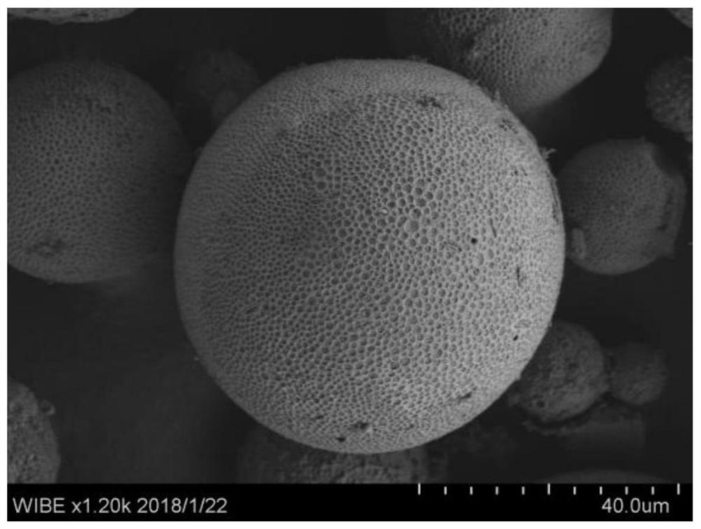 Pit-hole composite micro-nano structure polysaccharide microspheres and preparation method thereof