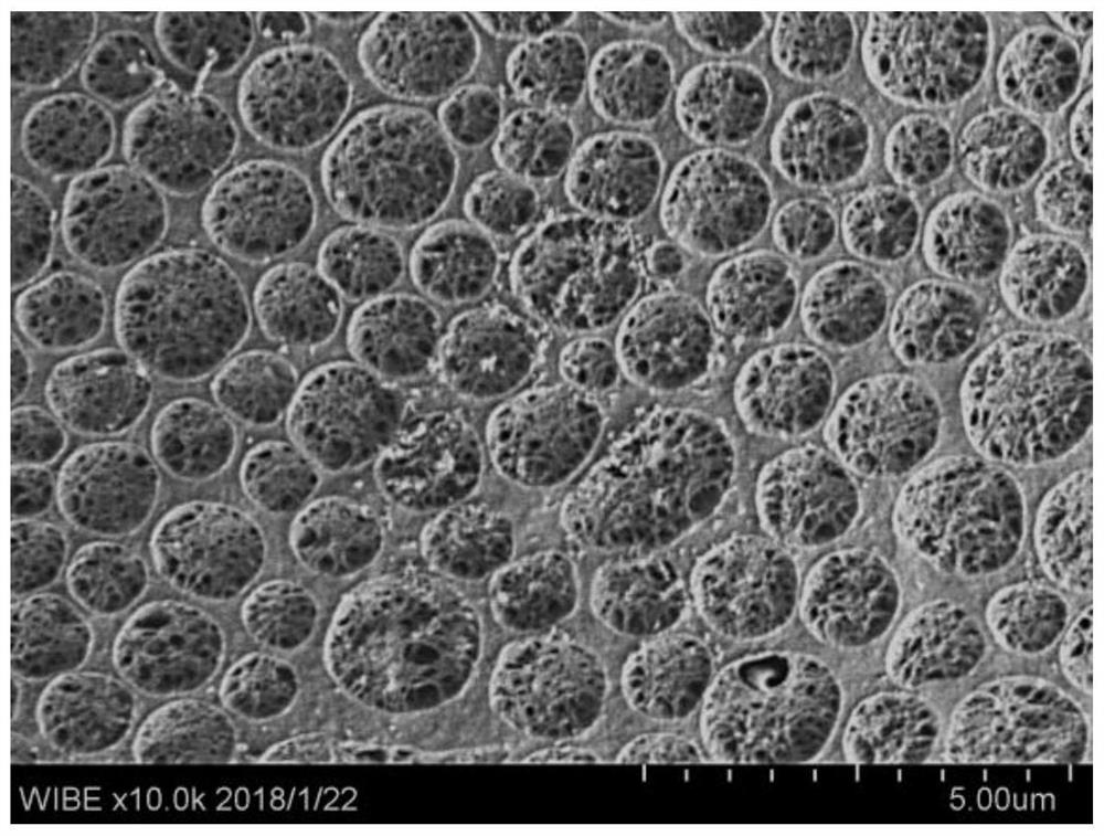 Pit-hole composite micro-nano structure polysaccharide microspheres and preparation method thereof