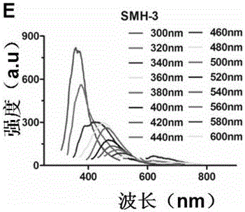 Photo-crosslinking sericin protein hydrogel and preparation method and application thereof