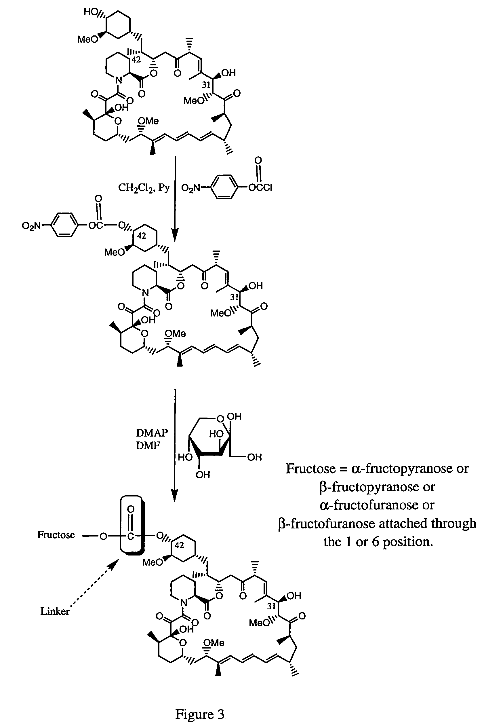 Rapamycin carbohydrate derivatives