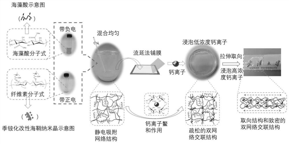 Preparation method of high-strength nanocellulose/alginic acid composite hydrogel