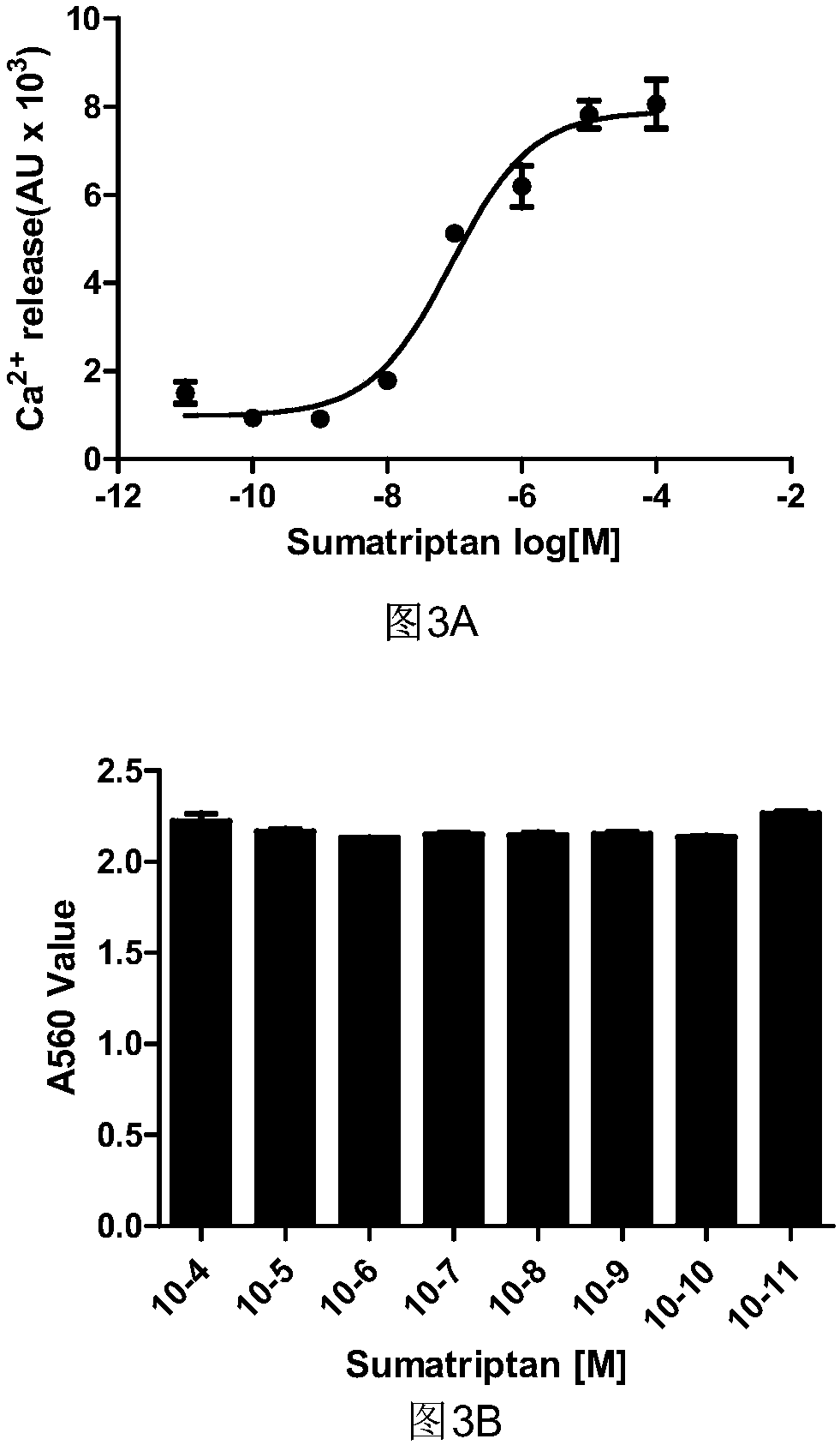 Cell model and constructing method thereof, and applications of cell model in screening active substances targeting serotonin receptor