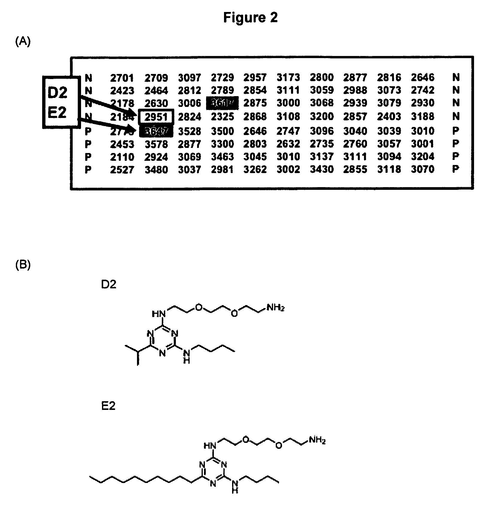 High throughput screen for inhibitors of polypeptide aggregation