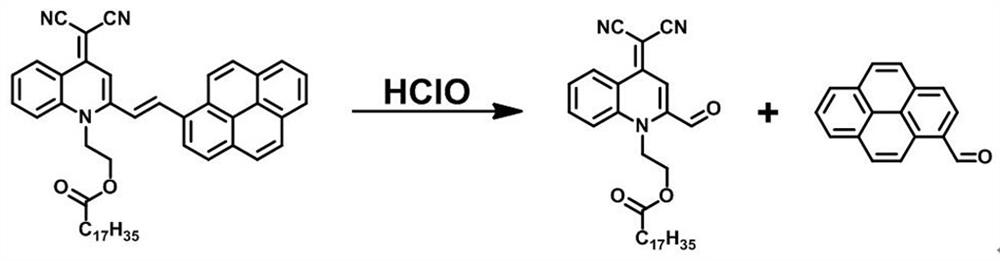 Aie-based polymer ratiometric fluorescent sensor capable of rapidly detecting hypochlorous acid and its preparation method and application