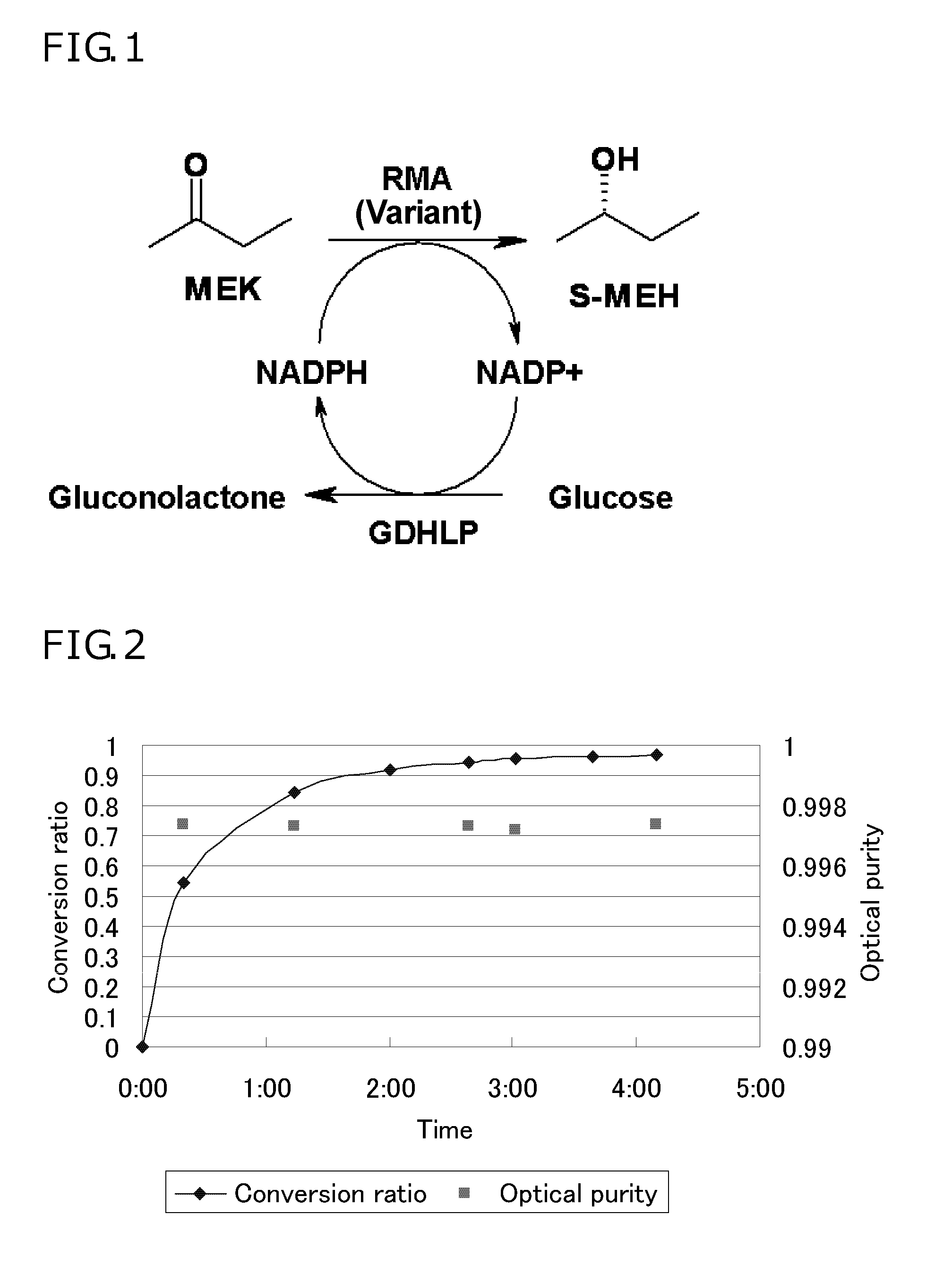 Enzyme function modification method and enzyme variant thereof