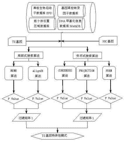 Meta search method for gene tissue-specific sequence pattern and search result assessment method