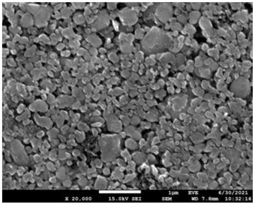 Lithium iron phosphate positive electrode material as well as preparation method and application thereof