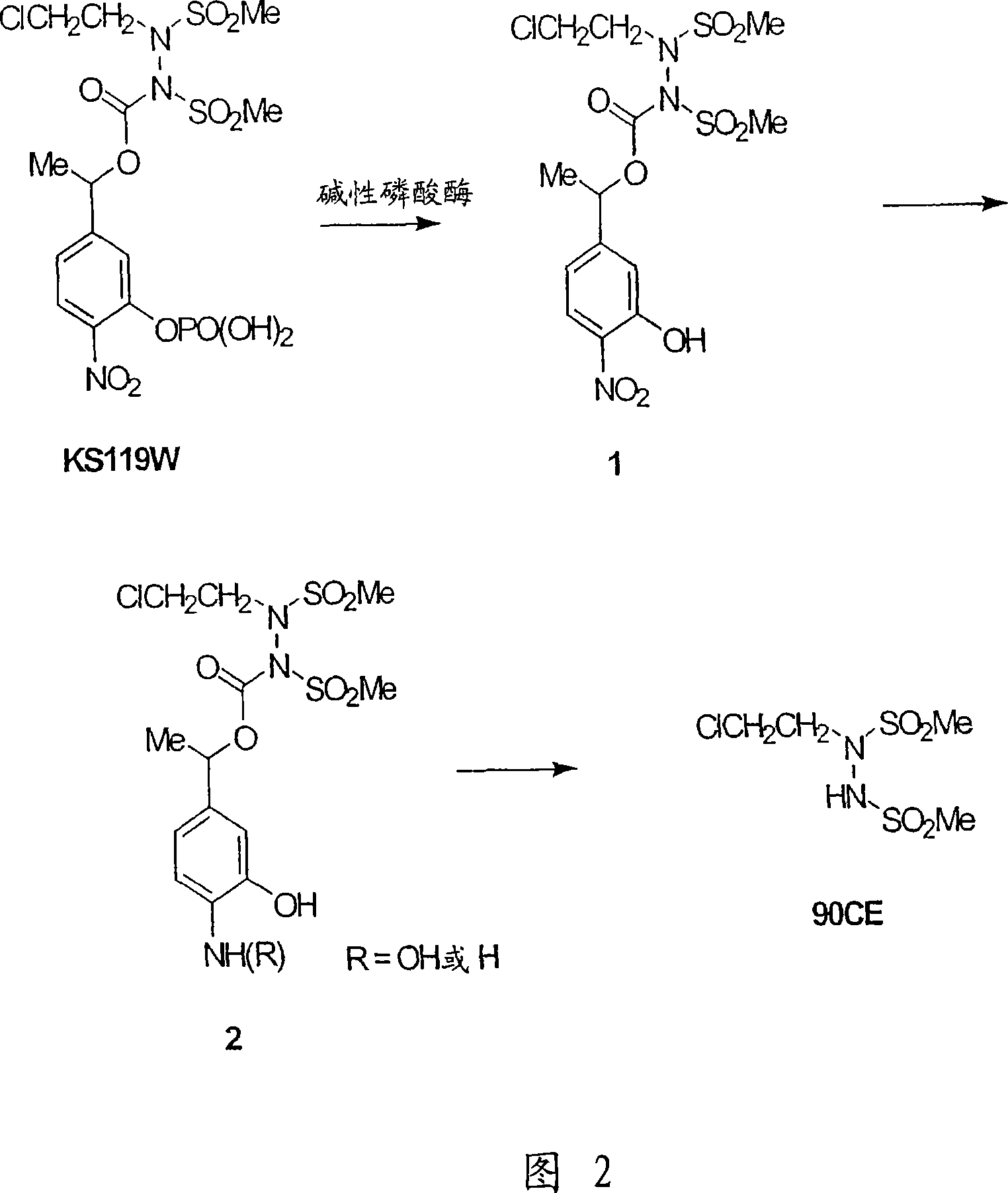 Sulfonyl hydrazines as hypoxia-selective antineoplastic agents