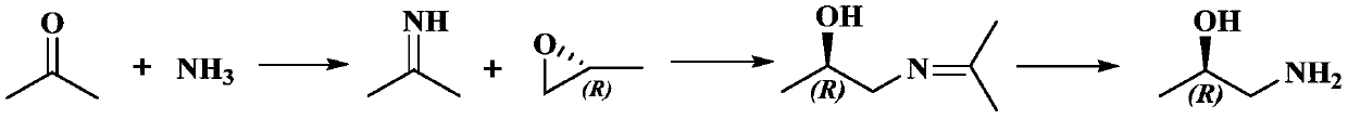 Preparation method of chiral 1-amino-2-propanol