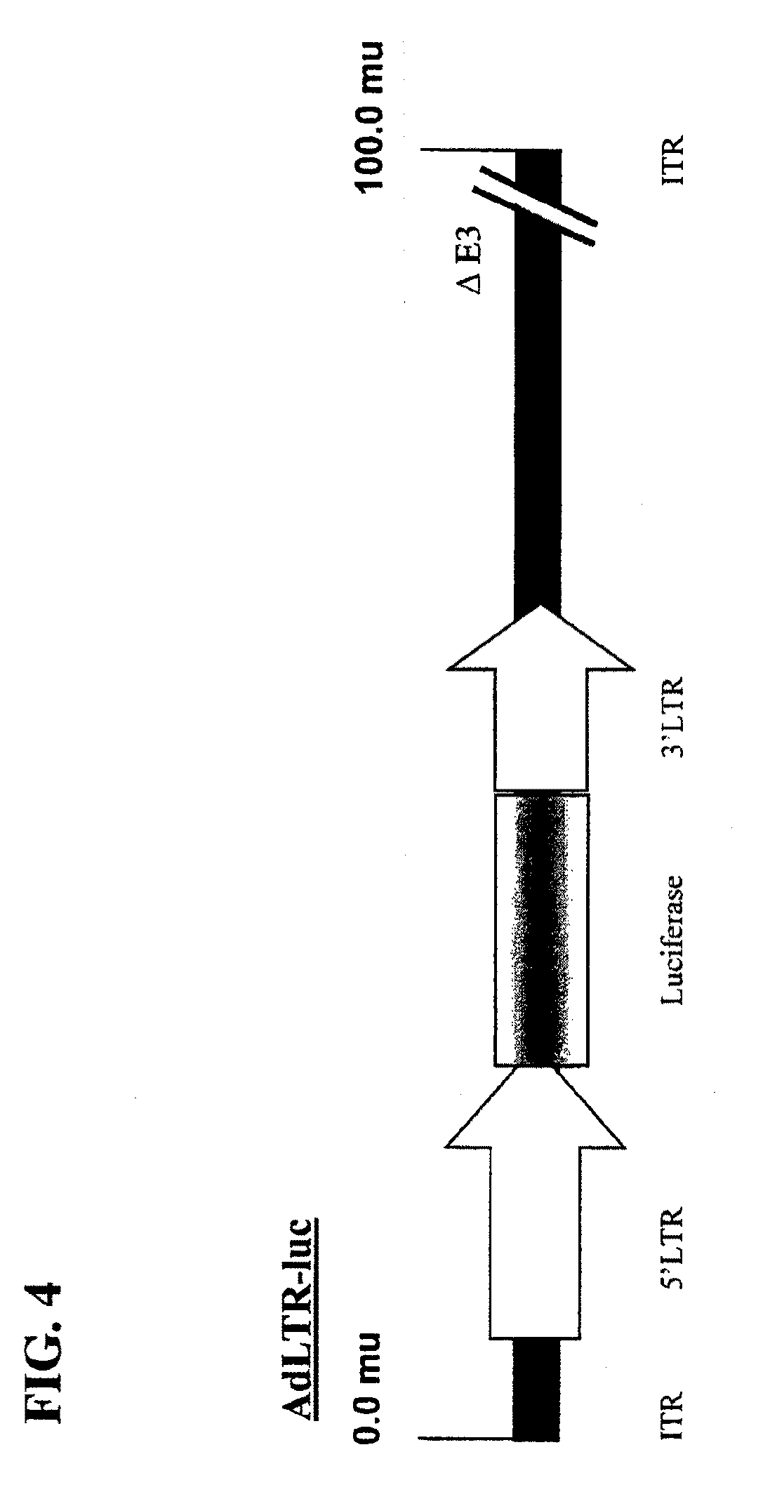 Hybrid adeno-retroviral vector for the transfection of cells