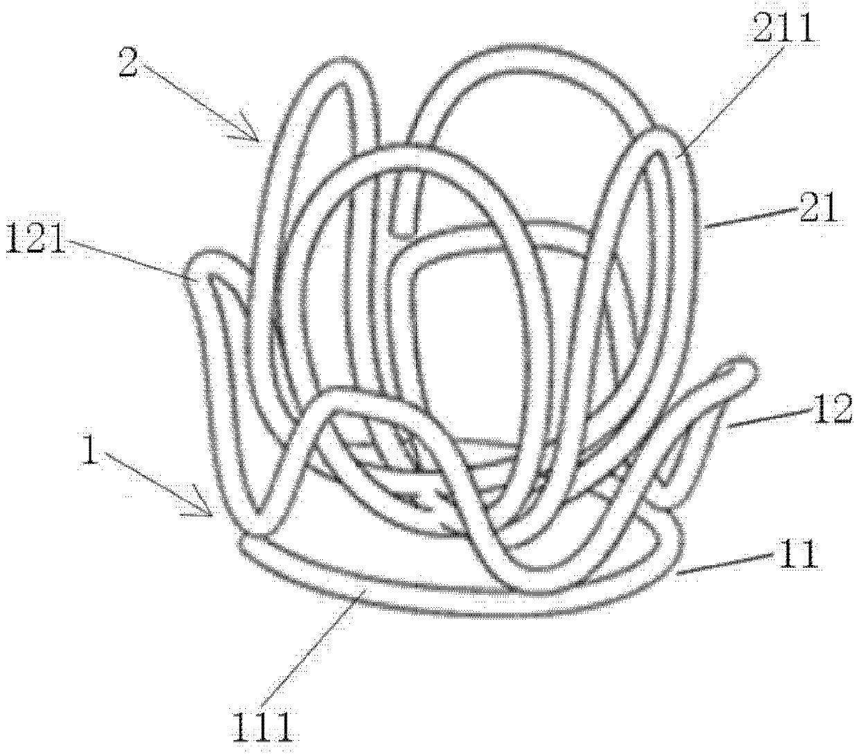 Spring coil and manufacturing process thereof