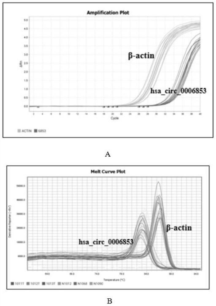 Plasma exosome circRNA marker for diagnosis and prognosis monitoring of gastric cancer and application of plasma exosome circRNA marker