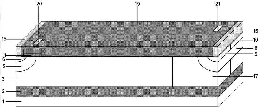 Reverse-conducting double-insulated-gate bipolar transistor