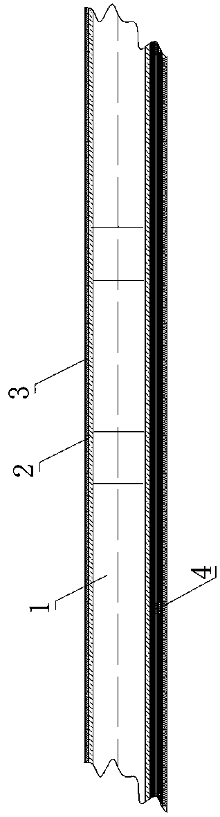 Multifunctional aural rigid endoscope