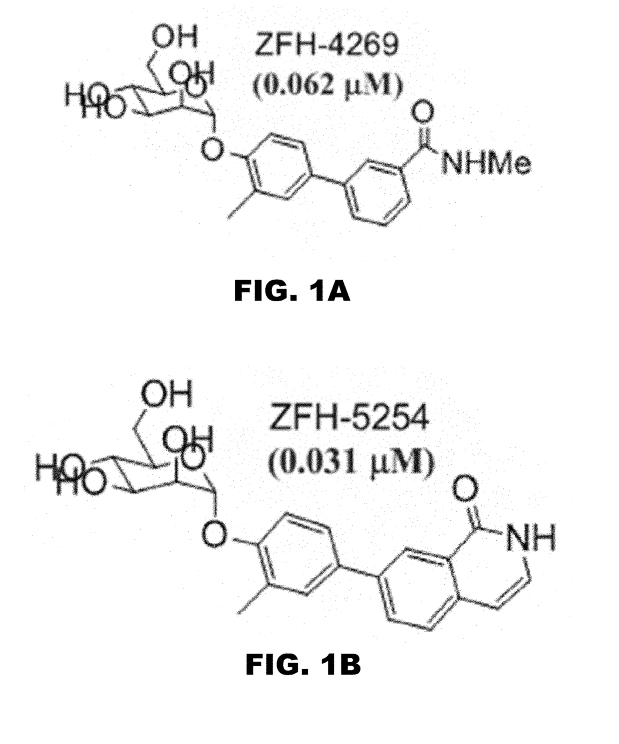 Compounds and methods for treating bacterial infections