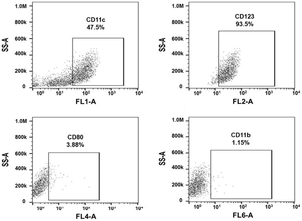 Method for stimulating cartilage tissue differentiation of mesenchymal stem cells