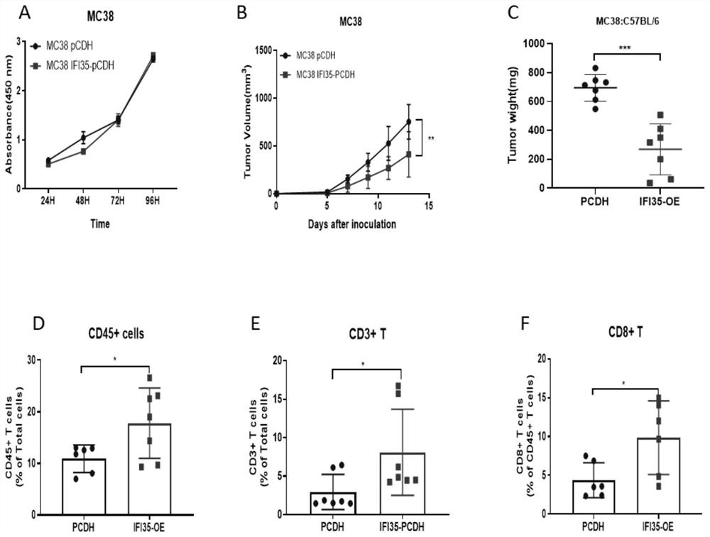 Application of IFI35 in preparation of medicine for preventing or treating colorectal cancer