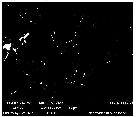 A kind of negative pole piece of lithium ion battery and preparation method thereof