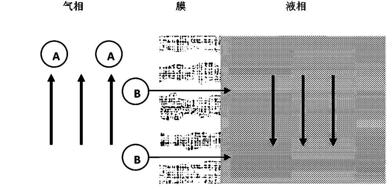 Preparation of polytetrafluoroethylene hollow fiber membrane, membrane, membrane contactor and application of membrane and membrane contactor