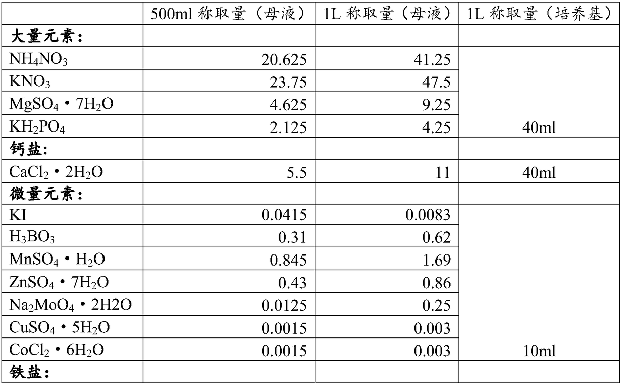 Method for tissue culture of Euonymus bungeanus