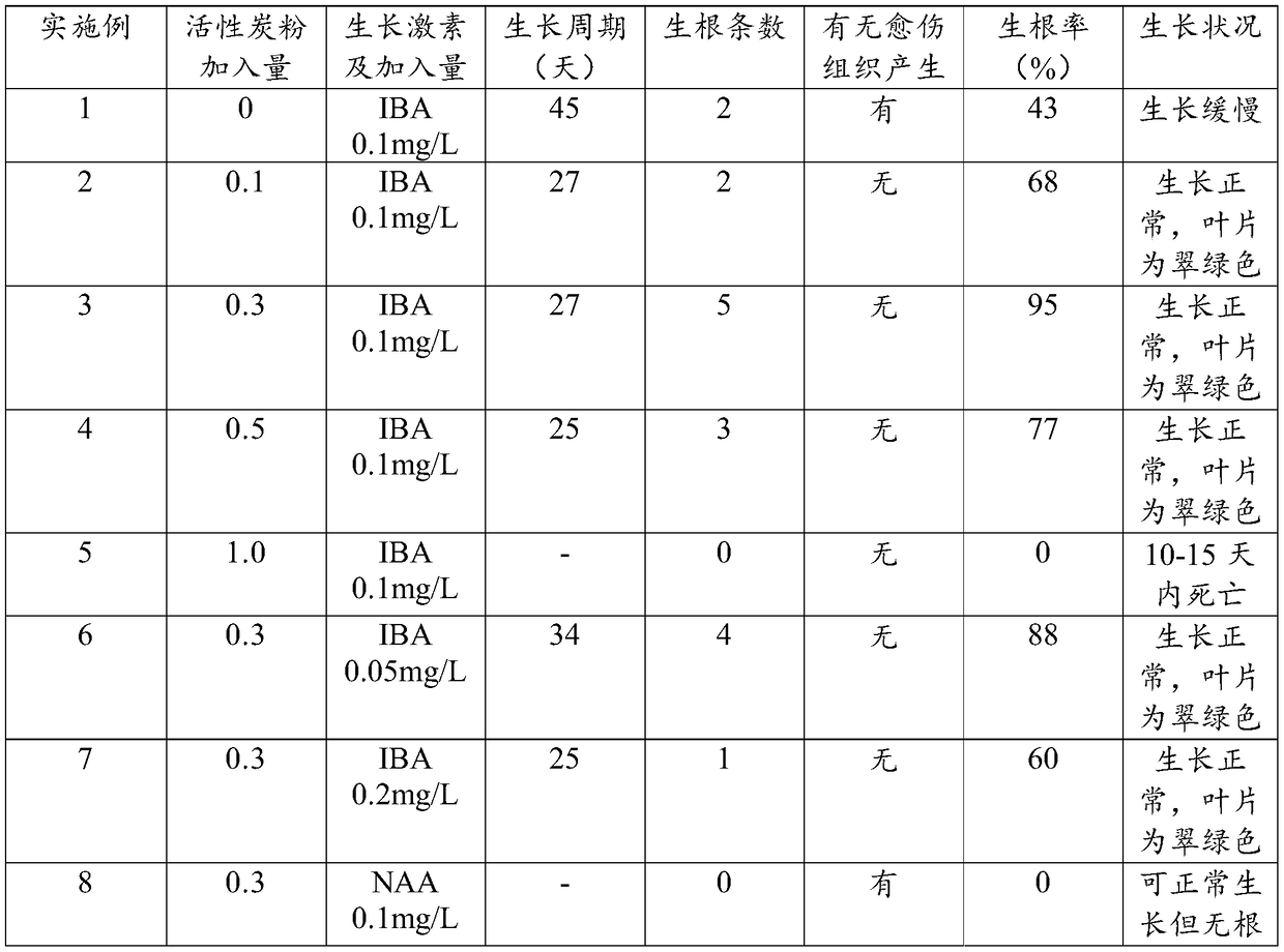 Method for tissue culture of Euonymus bungeanus