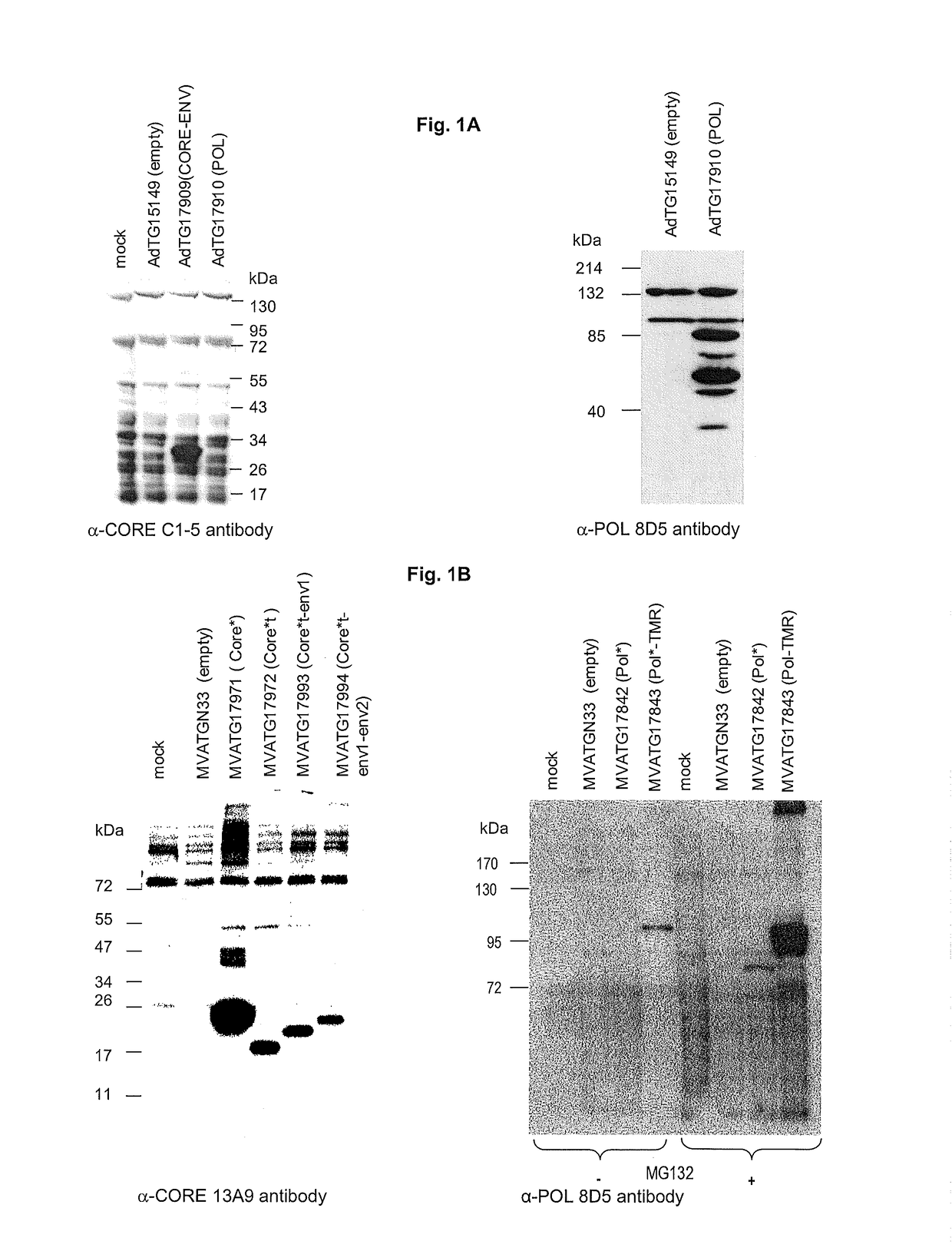 Composition for treating HBV infection