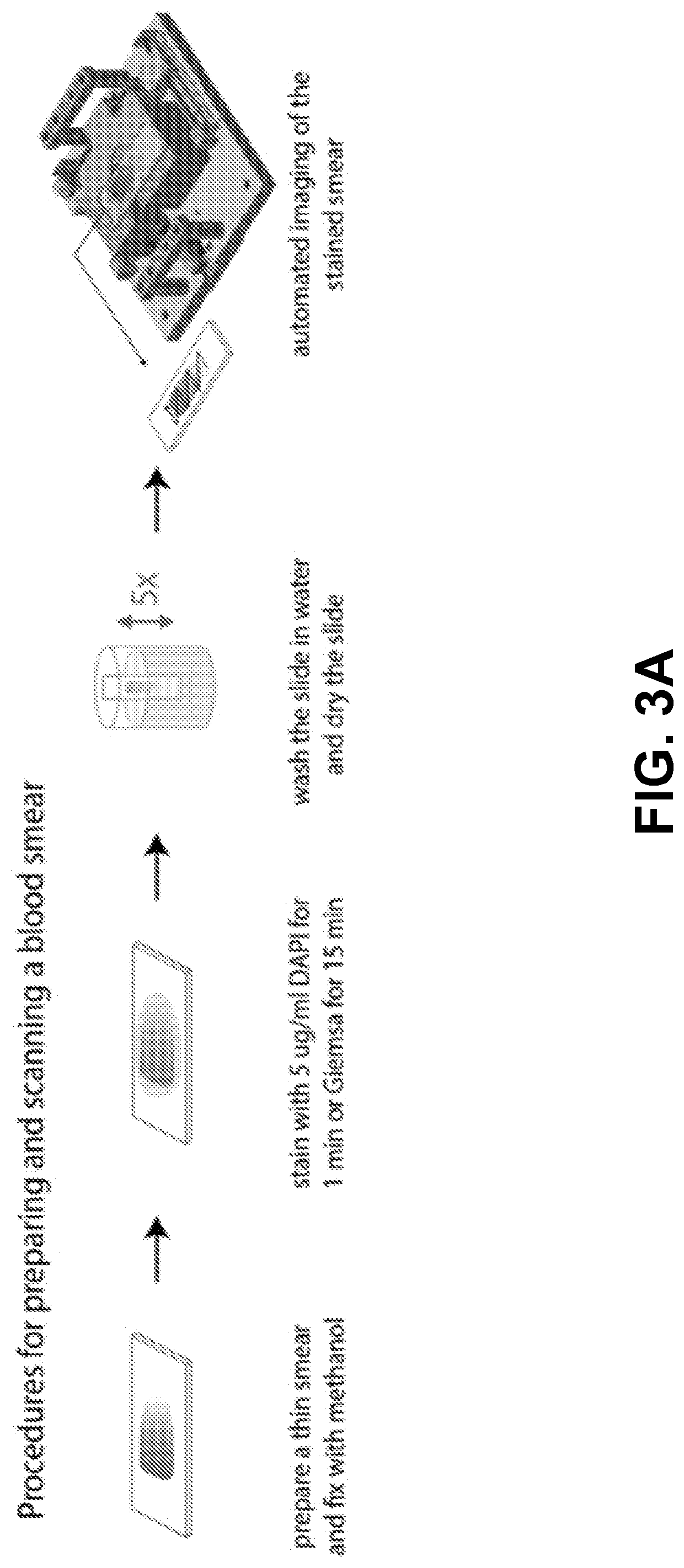 A Spectral Imaging Platform For Infectious Disease Diagnosis