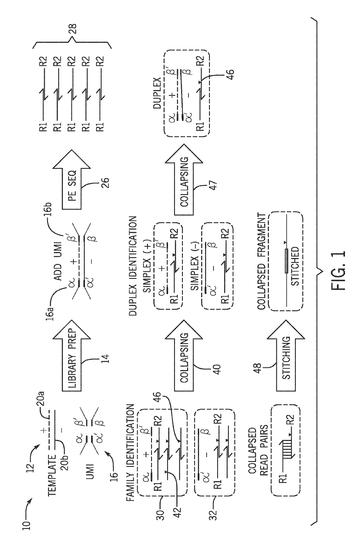 Validation methods and systems for sequence variant calls