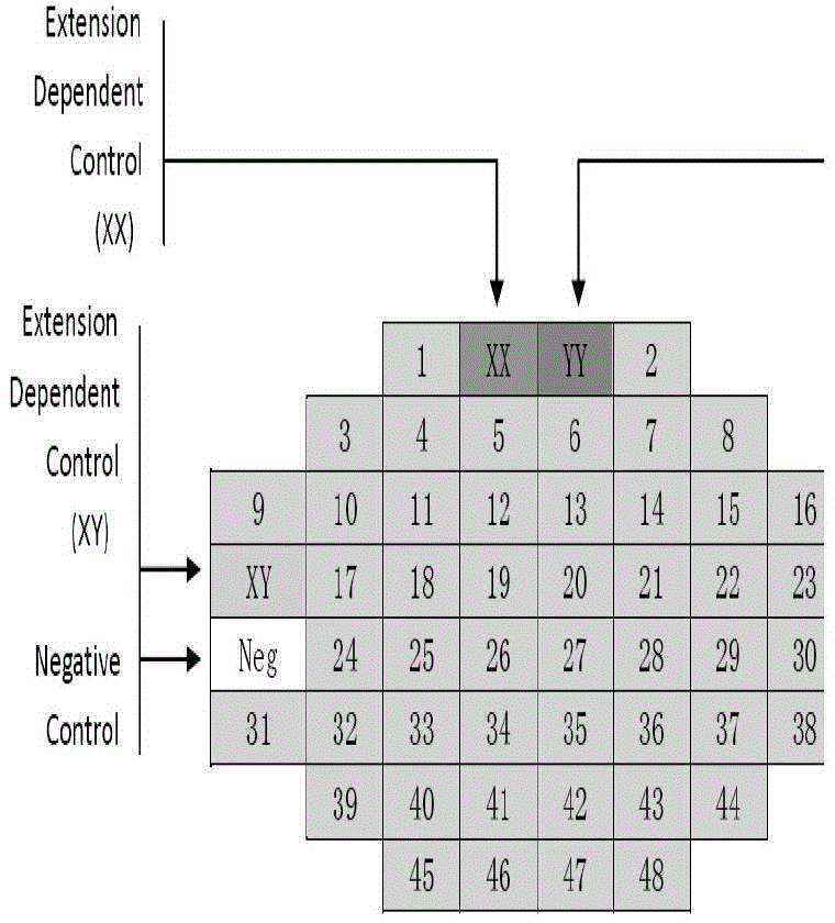 Method and system used for deducing Han, Tibetan or Wei population source of individual with unknown source