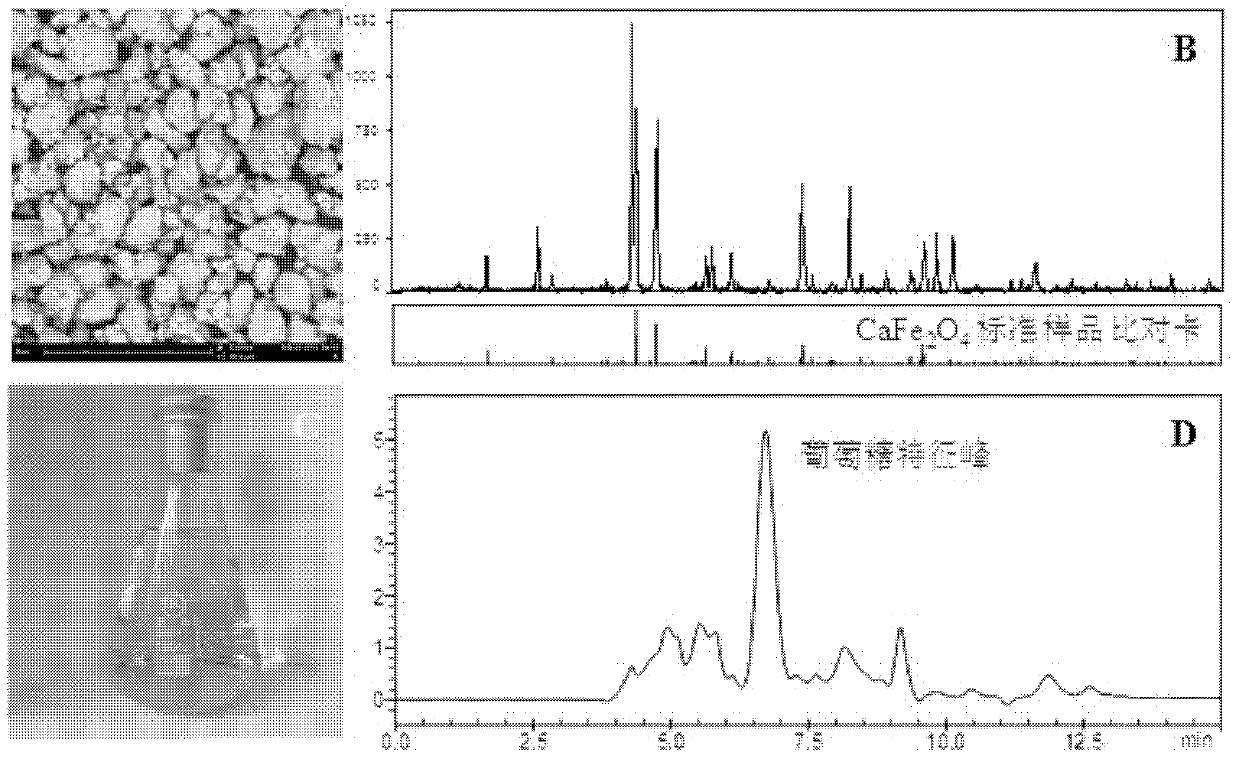 CaFe2O4 type magnetic solid catalyst and application thereof