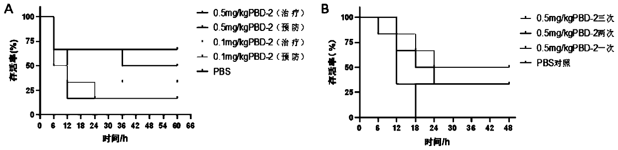 Application of porcine beta-defensin 2 peptide fragment to preparation of medicine composition for preventing and treating streptococcus suis infection