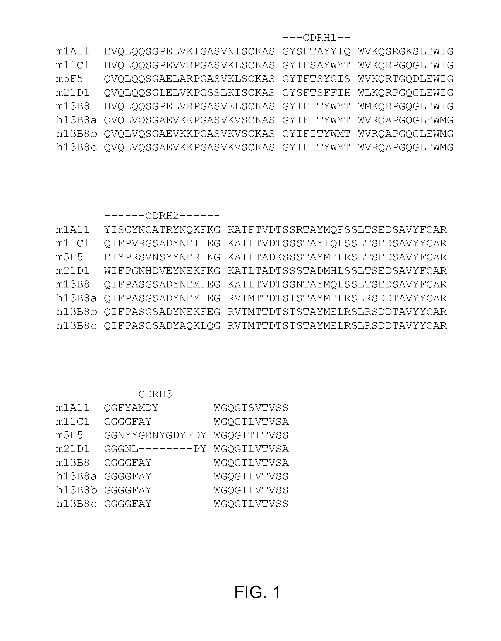 Engineered Anti-IL-23p19 Antibodies