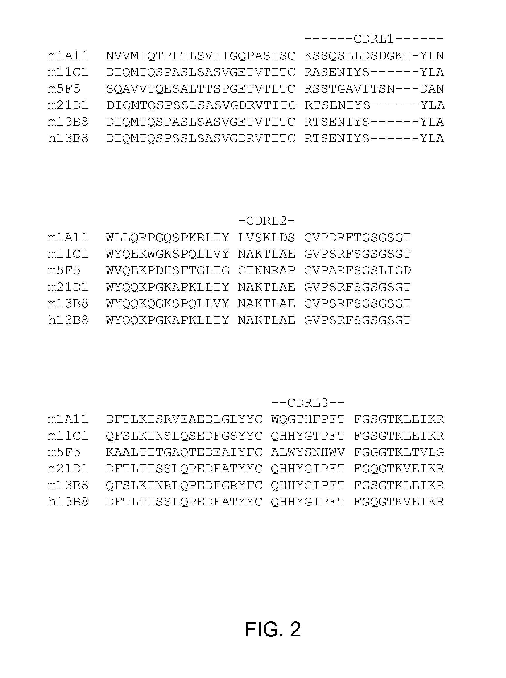 Engineered Anti-IL-23p19 Antibodies