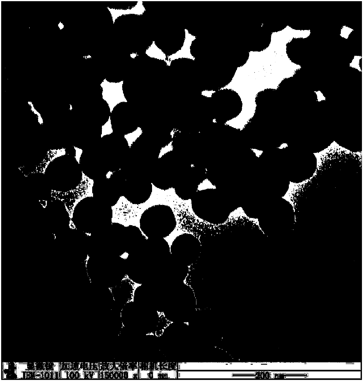 LHRH-bonded amphiphilic biodegradable polymer, preparation method and application