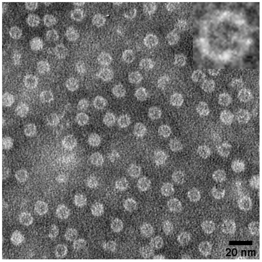 A kind of nano influenza vaccine and its construction method and application