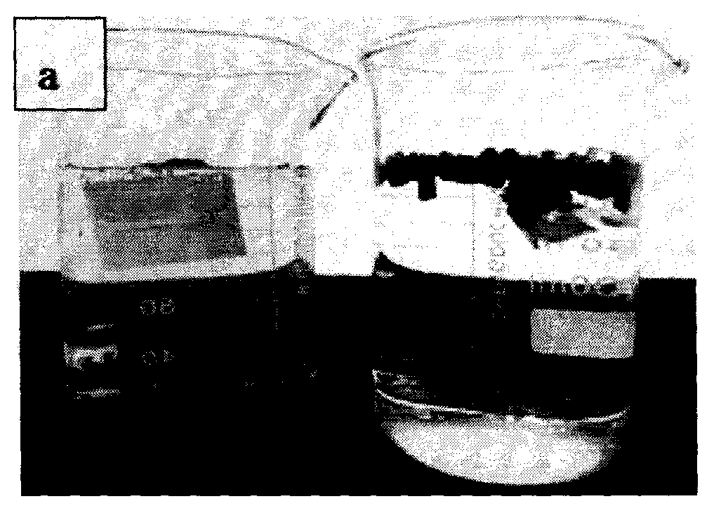 Preparation method of super-hydrophobic active carbon modified material