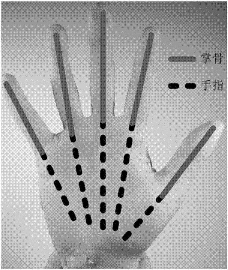 Human simulation dexterous hand based on shape memory alloy (SMA) flexible body intelligent digital composite structures